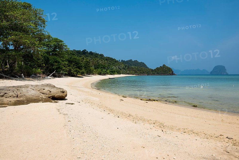 White sandy beach and coconut palms, Paradise Beach, Koh Great white shark, Ko Ngai, Krabi province, Trang, Southern Thailand, Andaman Sea, Thailand