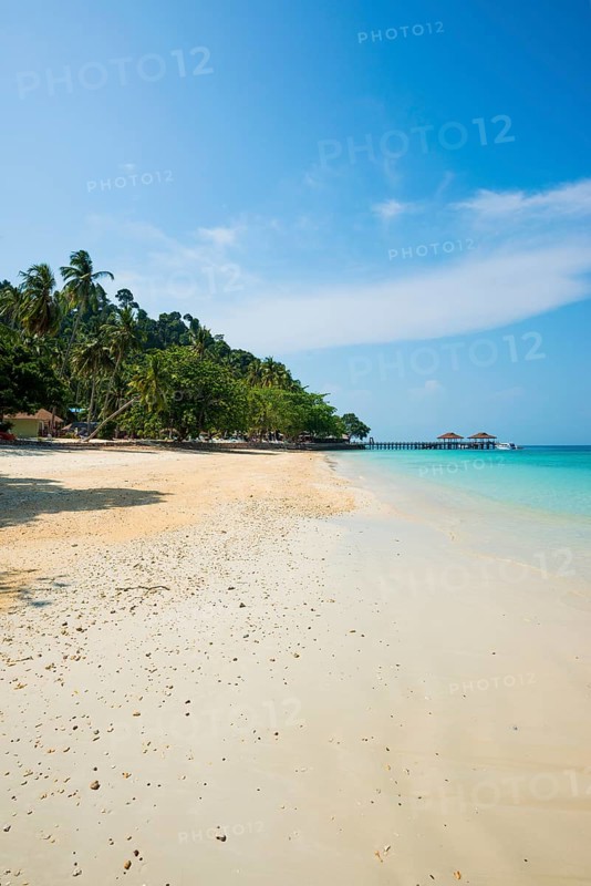 White sandy beach and coconut palms, Sunrise Beach, Koh Great white shark, Ko Ngai, Krabi Province, Trang, Southern Thailand, Andaman Sea, Thailand