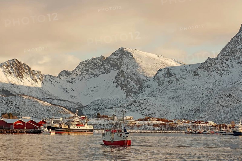 A harbour with fishing boats in front of snow-covered mountains at dusk, Myre, Vesteralen, Nordland, Arctic, Norway