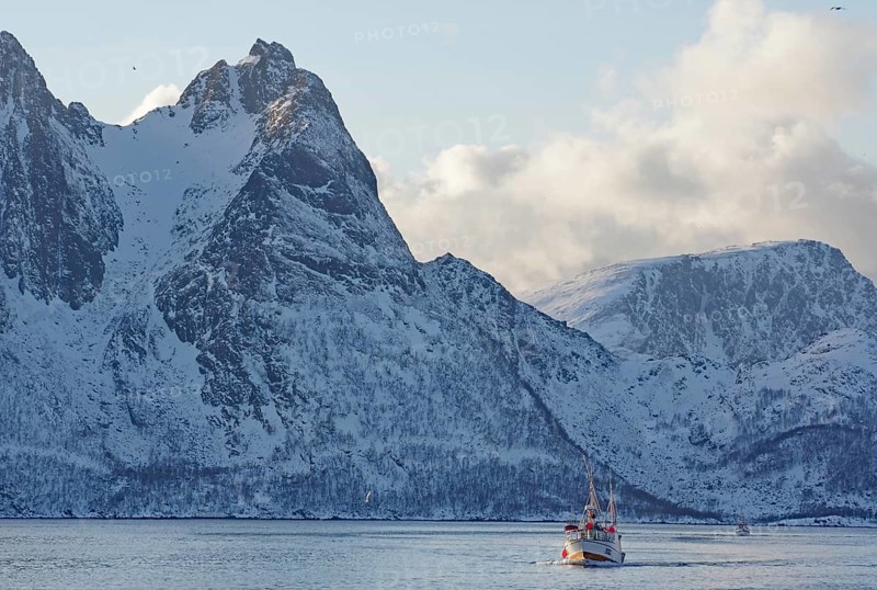 A fishing boat in calm waters in front of impressive snow-capped mountains, Myre, Vesteralen, Nordland, Arctic, Norway