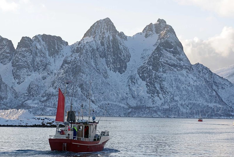 A red fishing boat sails through the wintry sea in front of snow-covered mountains, Myre, Vesteralen, Nordland, Arctic, Norway