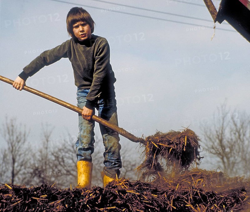 Boy, 10 years old, on a farm spreading cow dung on a dung heap, Franconia, Bavaria, Germany