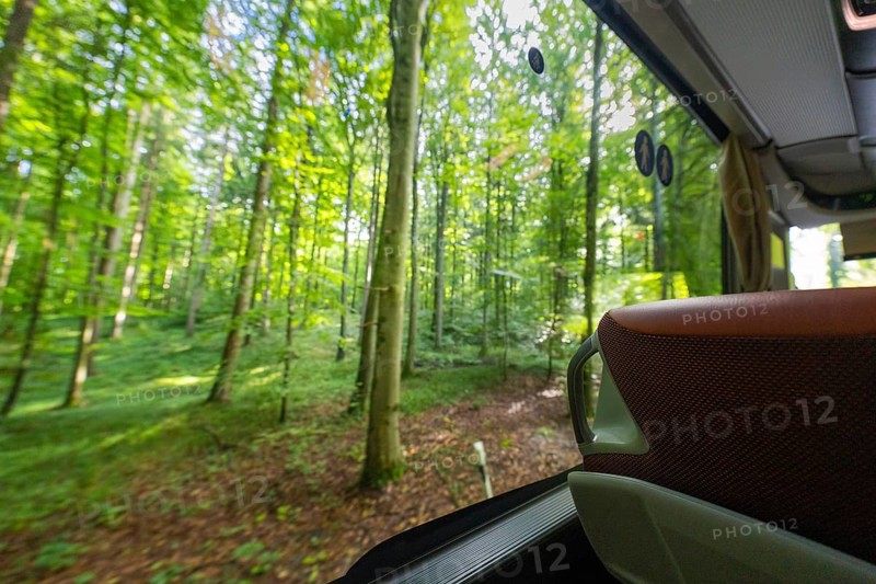 View from a bus window of a lush green forest in the sunshine, Lake Constance, Germany