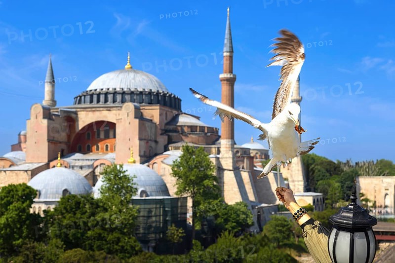 People feeding seagulls near Hagia Ayasofya, Sophia Grand Mosque in Istanbul, Turkey. Marvel of Islamic architecture