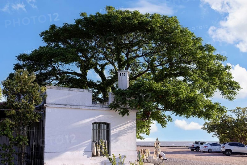 Uruguay, colonial streets of Colonia Del Sacramento in historic center of Barrio Historico