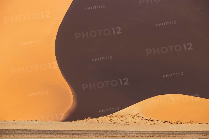 Sand dunes in the Namib Desert. Namib-Naukluft Park, Namibia