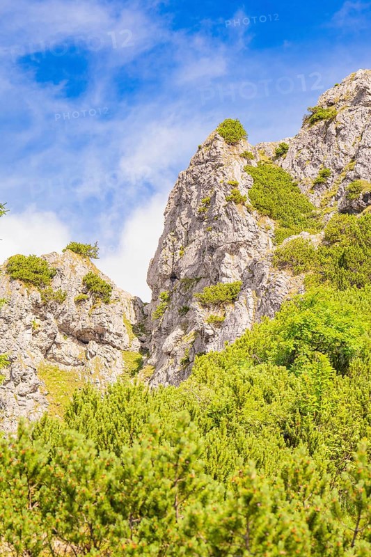 Steep rock formations with green vegetation against a blue sky, Herzogstand summit, Walchensee, Schlehdorf, Germany