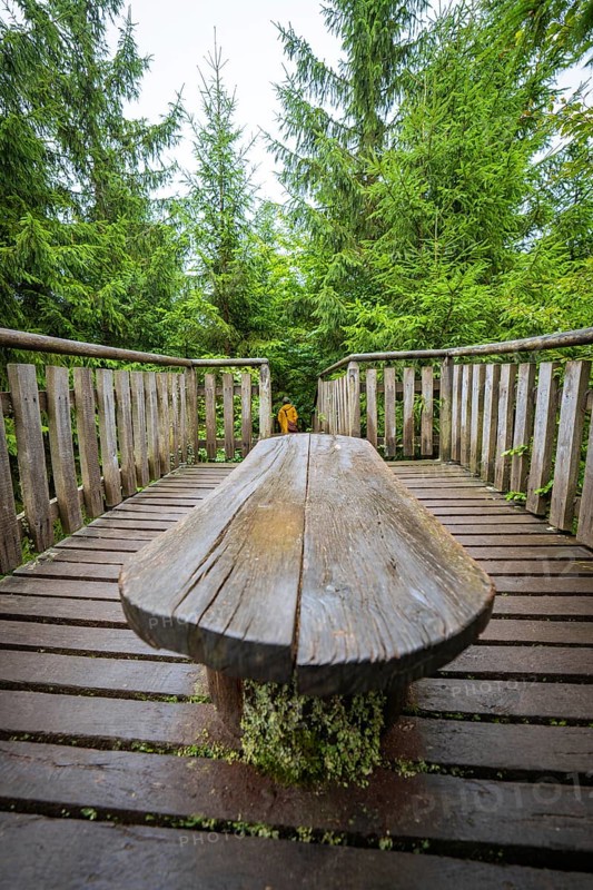 A rustic wooden table stands on a footbridge in a green forest and invites you to linger, Lotharpfad, Black Forest, Germany