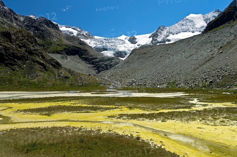 Algae bloom in the silting mountain lake Lac de Châteaupré in the glacier foreland of the Moiry glacier, Val de Moiry, Anniviers, Valais, Switzerland