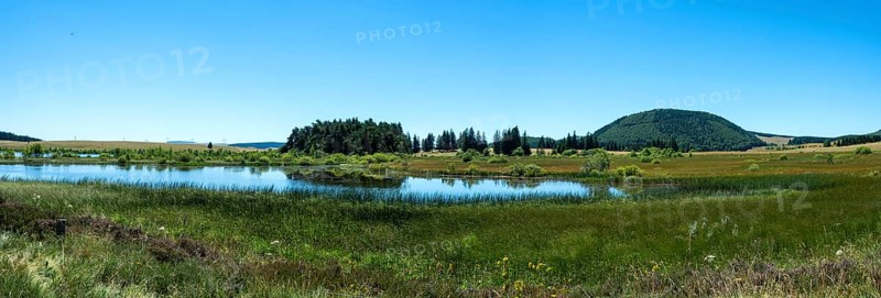 Bog of Bourdouze lake, Auvergne Volcanoes Regional Park, Puy de Dome., Auvergne-Rhone-Alpes, France