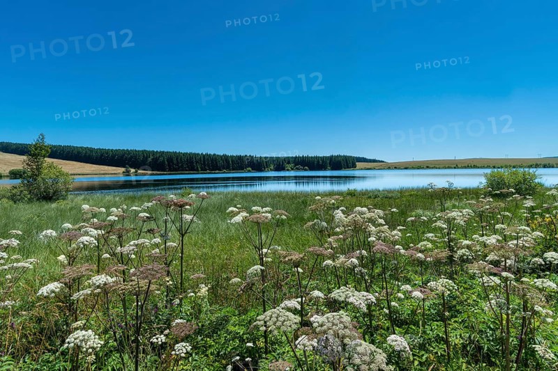 Lake of Bourdouze, Auvergne Volcanoes Regional Park, Puy de Dome., Auvergne-Rhone-Alpes, France