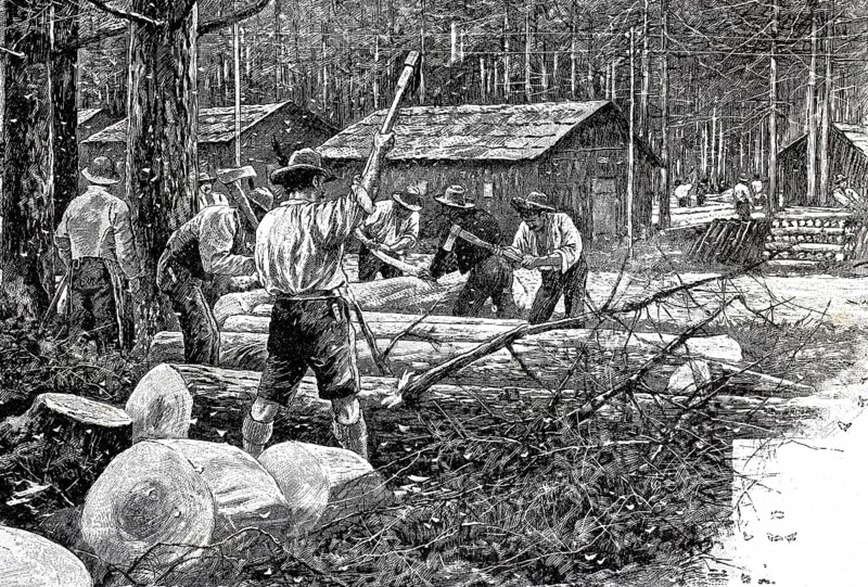 Woodworker in a forest destroyed by pests, here by the moth nun, Lymantria monacha, 1890, Historical, authentic, digitally restored reproduction from a 19th century original, Record date not stated