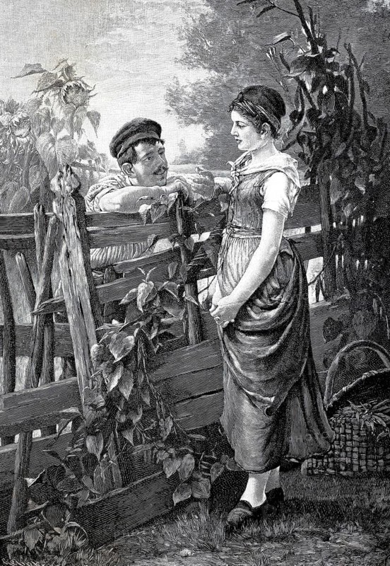 Conversation at the garden fence, young man talking to young woman about a wooden fence in the garden 1890, Historical, authentic, digitally restored reproduction from a 19th century original, Record date not stated