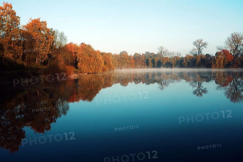 Calm pond with autumn trees and clear reflection, Krefeld