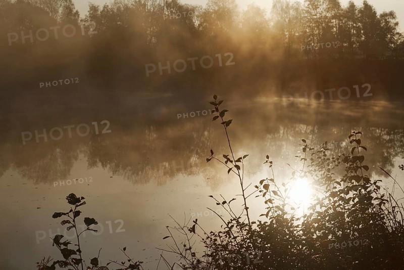 Foggy pond at sunrise, mystical morning atmosphere, Krefeld