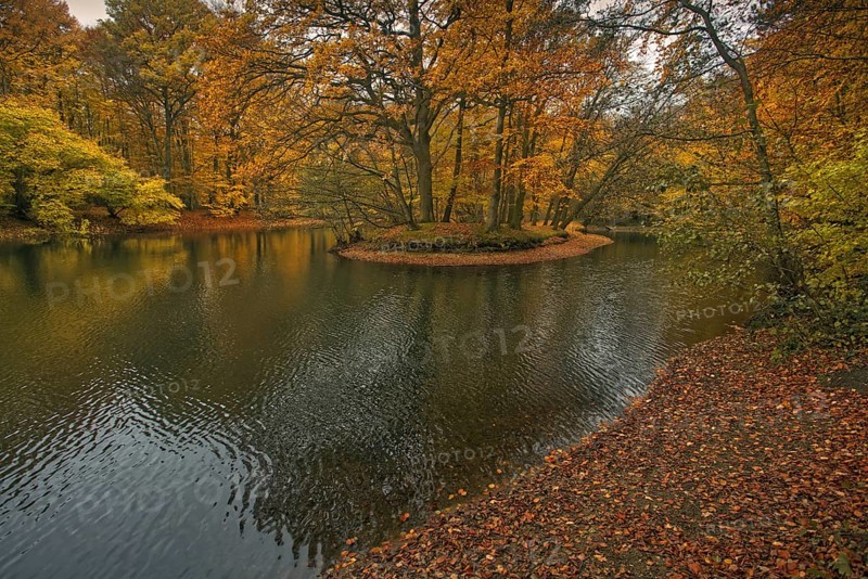 A pond with a wooded island in autumn colours and a calm water surface, Krefeld city forest
