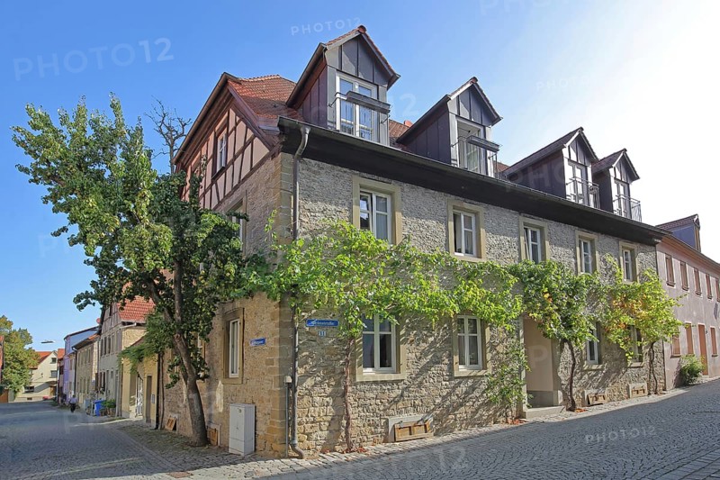 Building with grapevines, stone house, wine route, Volkach, Lower Franconia, Franconia, Bavaria, Germany