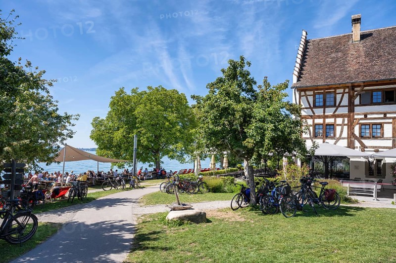 Ein Biergarten am Bodenseeufer mit dem historischen Fachwerkbau vom Rebgut Haltnau bei Meersburg, Bodensee, Bodenseekreis, Baden-Württemberg, Deutschland