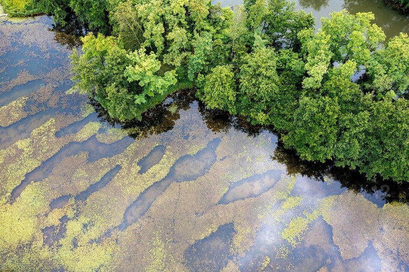 Aerial view, islands in the Drau, river, Brenndorf bird sanctuary, Carinthia, Austria