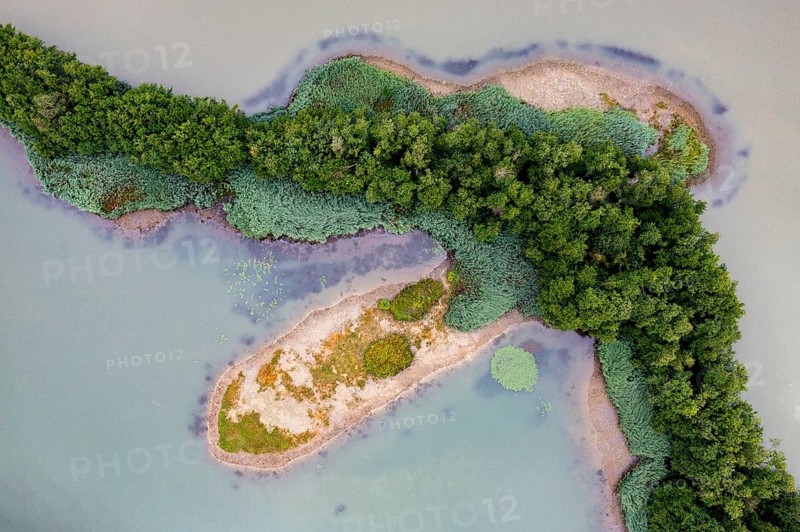 Aerial view, islands in the Drau, river, Carinthia, Austria