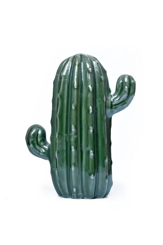 Green ceramic cactus decorative object on white background