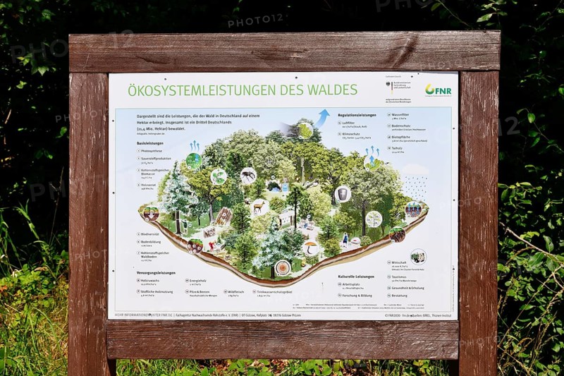 Forbach, Germany - July 12th 2025: Infographic about the forest ecosystem in the Black Forest with information on flora, fauna, and biodiversity