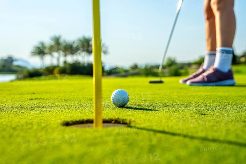 Golfer focusing on a crucial putt on a lush green course, with a ball near the hole. Palm trees and a serene landscape create a tranquil backdrop