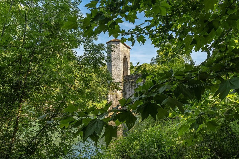 Green leaves frame a medieval bridge tower in sauveterre de bearn, france, creating a picturesque scene of history and nature