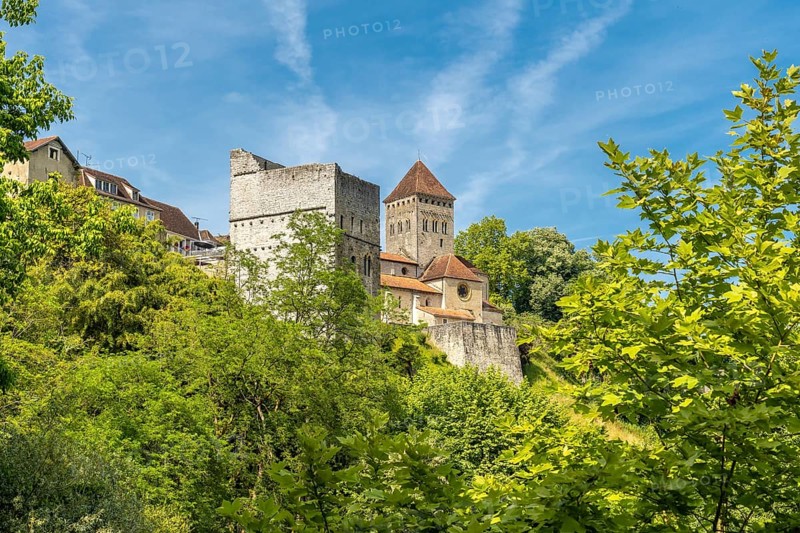 The historic church of sauveterre de bearn rises majestically above a canopy of vibrant green trees, showcasing the beautiful blend of nature and architecture in the french countryside
