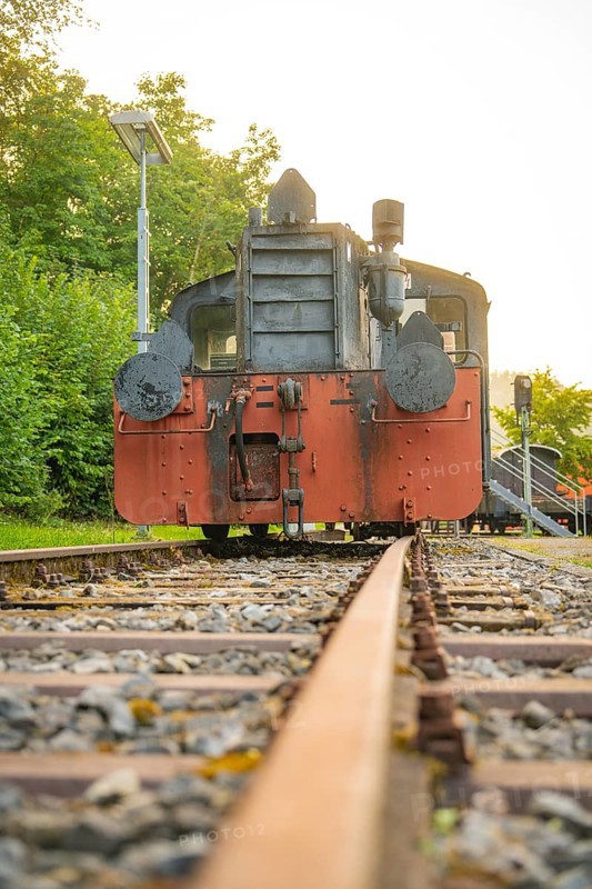 Close-up of an old steam locomotive on railway tracks surrounded by green nature, Nagold, district of Calw, Black Forest, Germany