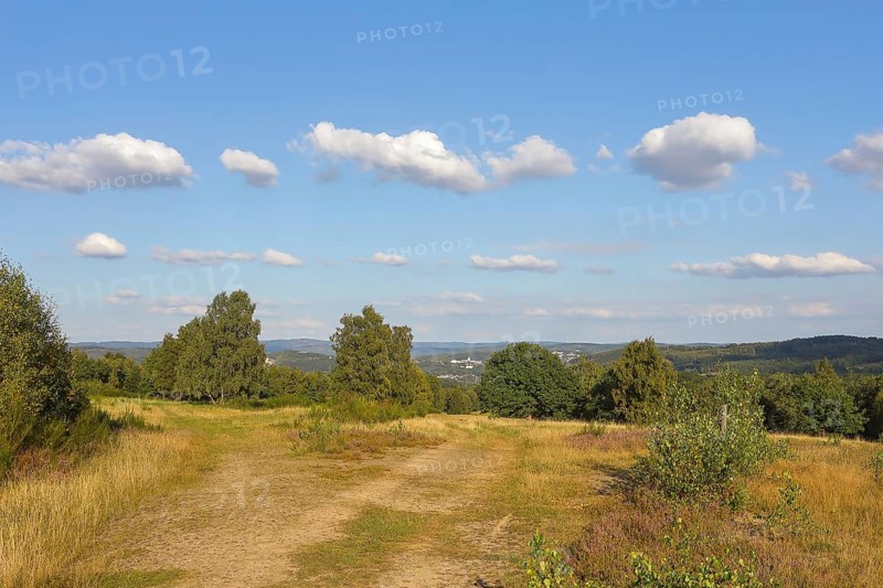 Hiking trails in the Truppacher Heide, Trupbacher Heide nature reserve with heaths and rough grassland, Siegerland, North Rhine-Westphalia, Germany