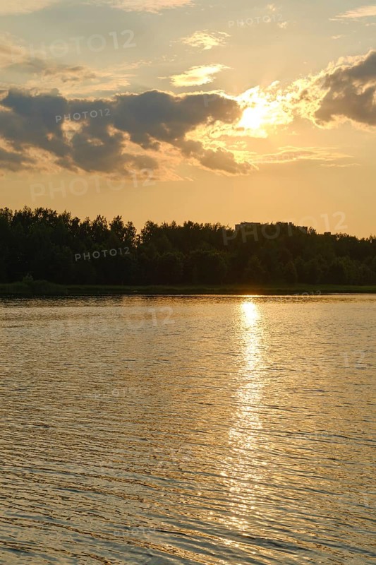 A warm summer afternoon unfolds at the lake, with the sun dipping below the horizon. The water reflects golden hues as gentle ripples dance across the surface, framed by lush greenery