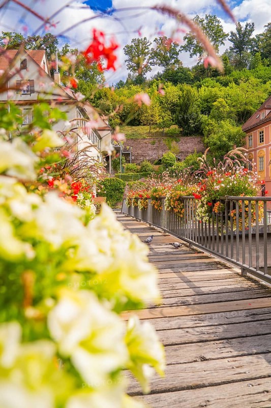A boardwalk lined with vibrant flowers leads to a historic building, small town pearl Calw, Black Forest, Germany
