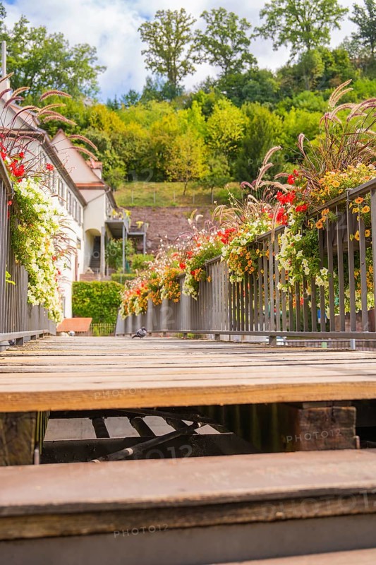 A wooden walkway decorated with flowers leads through a green historical setting, small town of Perle Calw, Black Forest, Germany