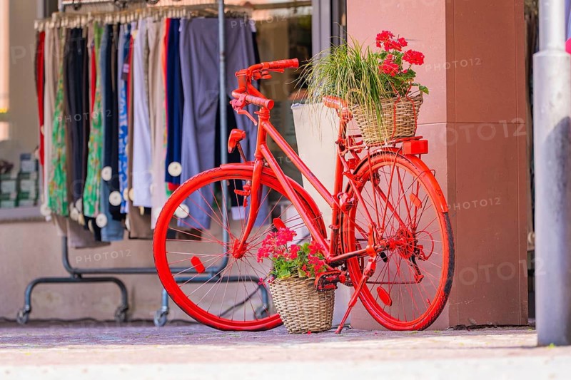 Red bicycle with flowers in a basket in front of a shop window of a clothing shop in the city, small town of Perle Calw, Black Forest, Germany
