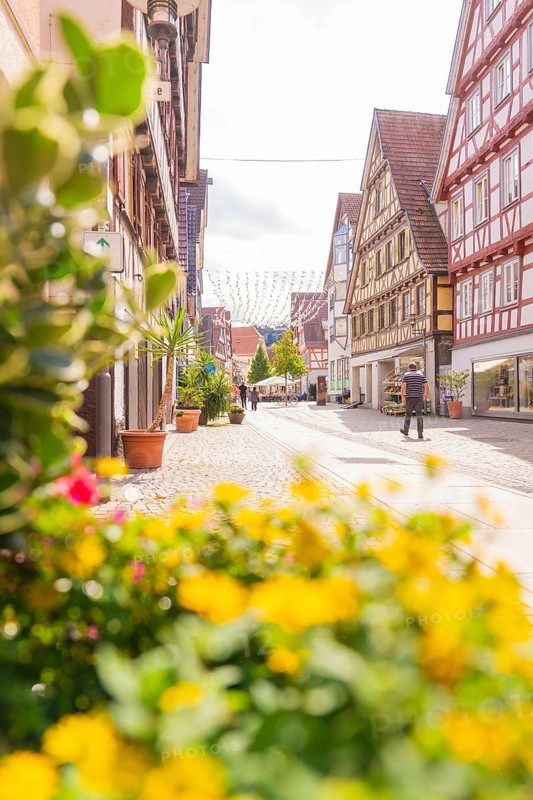Flowers in the foreground and half-timbered houses along a sunny and inviting shopping street, small town of Perle Calw, Black Forest, Germany