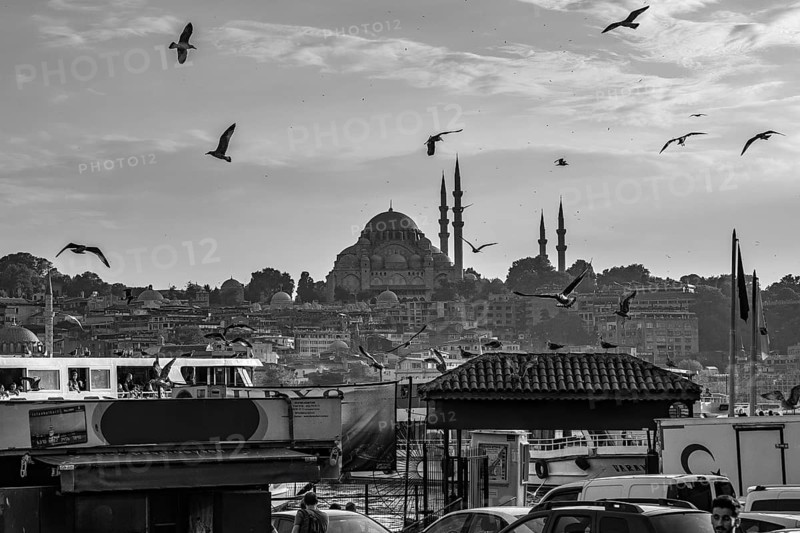 Scenic view of seagulls flying over the bosphorus strait with the suleymaniye mosque dominating the istanbul cityscape in monochrome