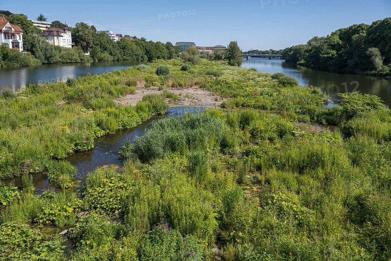 Saarn-Mendener Ruhraue, nature reserve, Mülheim an der Ruhr, Rurgebiet, North Rhine-Westphalia, Germany