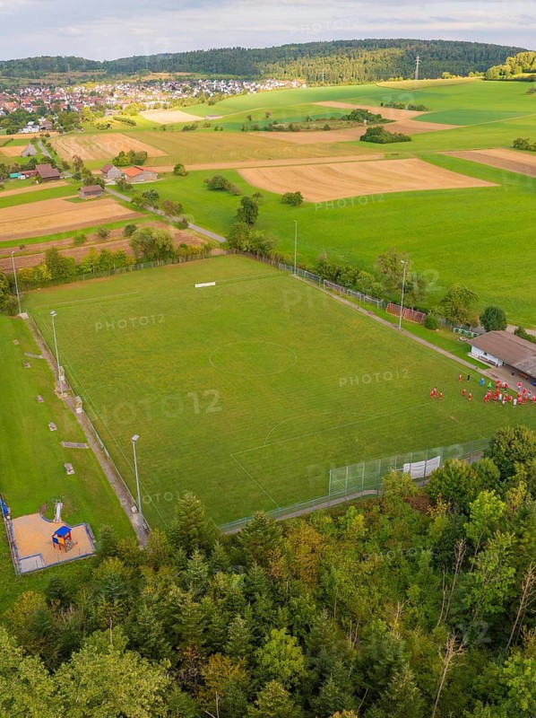 Sports field with neighbouring fields and trees near a village, VFL Stammheim, Calw, Black Forest, Germany
