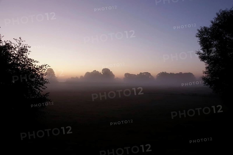 Landscape with morning fog, Summer, Saxony, Germany