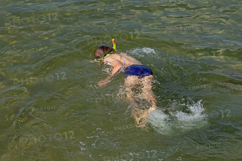 Little boy snorkelling in the sea, Kiel Fjord, Falckenstein, Kiel, Schleswig-Holstein, Germany