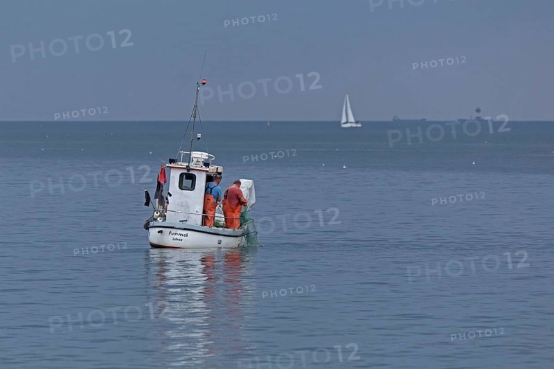 Fishing boat off Falckenstein Strand, Sailing boat, Kiel Fjord, Kiel, Schleswig-Holstein, Germany
