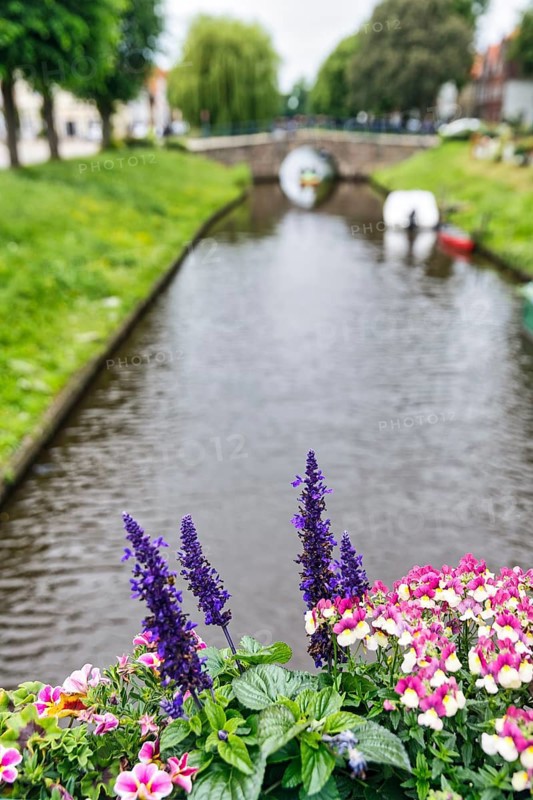 View over flower decoration on Mittelburggraben, blurred, Old Town, Friedrichstadt, Germany