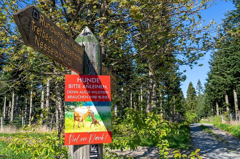 Sign in a wooded area near Altastenberg in the Sauerland, dogs must be kept on a lead, to protect wild animals in the forest, North Rhine-Westphalia, Germany