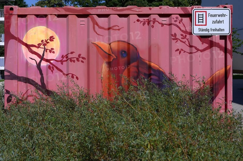 Bird and moon, a painting on a construction container, Offenburg, Baden-Württemberg, Germany