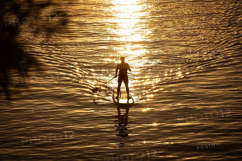 A paddler paddles on the Main in Frankfurt, Frankfurt am Main, Hesse, Germany