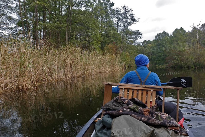 Müritz National Park, Mecklenburg-Western Pomerania, Germany