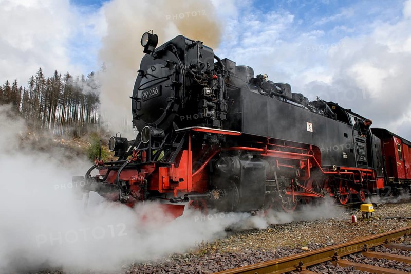 View of steam locomotive steam locomotive of Harz narrow-gauge railway narrow-gauge railway Brockenbahn runs as a passenger train with attached passenger wagons railway wagons towards the summit of Brocken lets off steam steam cloud comes out of chimney of steam locomotive, Schierke, Wernigerode in the Harz Mountains, Saxony-Anhalt, Germany