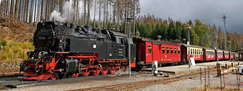 Panoramic photo View of steam locomotive Steam locomotive of Harz narrow-gauge railway Narrow-gauge railway Brockenbahn runs as a passenger train with attached passenger carriages Railway carriages from Schierke station towards the summit of Brocken, Schierke, Wernigerode in the Harz Mountains, Saxony-Anhalt, Germany