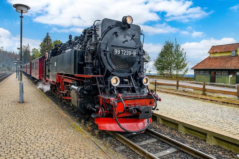 View of steam locomotive steam locomotive of Harz narrow-gauge railway narrow-gauge railway Brockenbahn standing on track towards the summit of Brocken on platform of Schierke station, behind it coupled iron wagons passenger wagons, Schierke, Wernigerode im Harz, Saxony-Anhalt, Germany